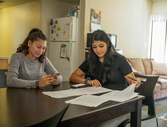 Two students study together